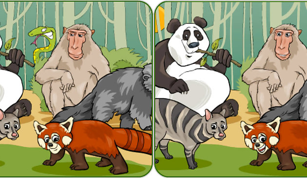 Дикое Сафари. Пять Отличий