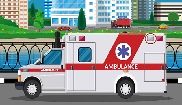 Ambulanz-Lkw Unterschiede