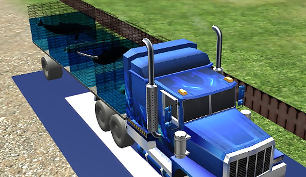 Транспортировка морских животных