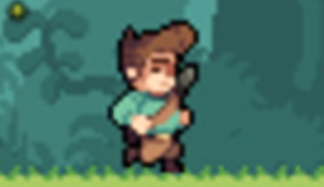 Сокровища Джунглей