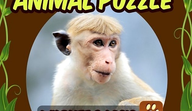 Животное. Пазл