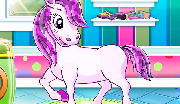 Салон домашнего животного: пони