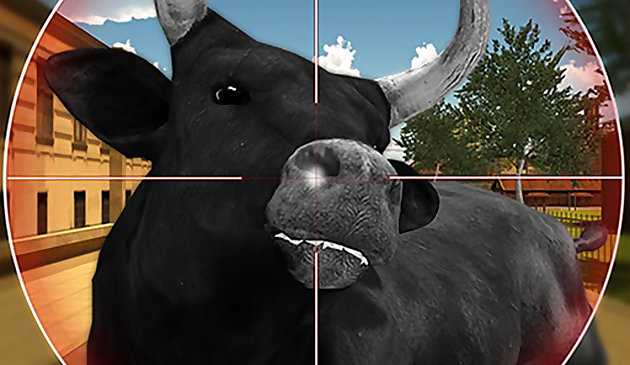 Бычья стрельба