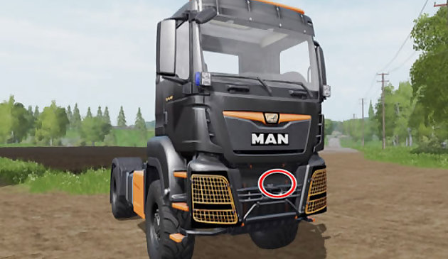 Грузовики Мэн: различия