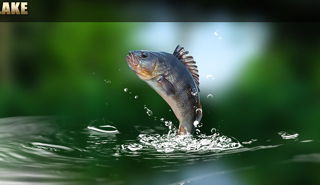 Зеленое озеро