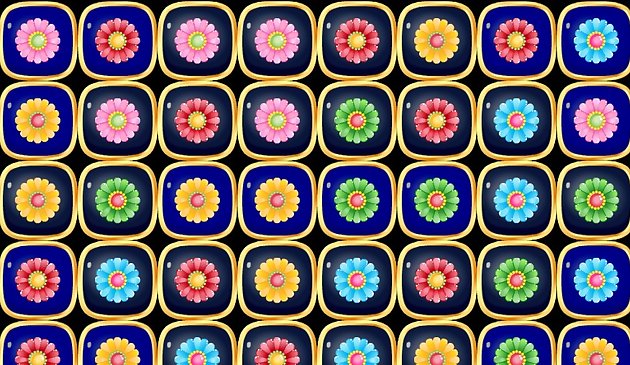 Бломстер матч 3