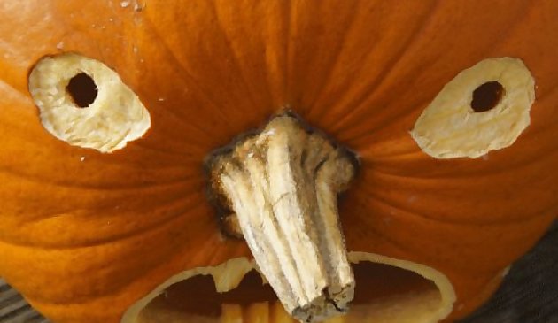 5 в 1 головоломка-картинка: Хэллоуин