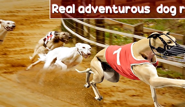 Сумасшедшая собака: гоночная игра 2020