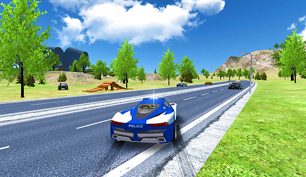 Водитель полицейского автомобиля