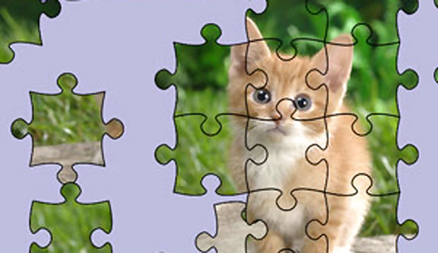 拼图游戏：可爱的小猫