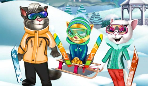 Зимнее веселье котов