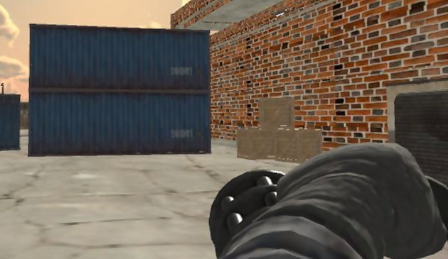 Замаскированные силы: без границ