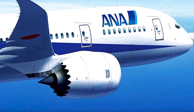 Боинг Дримлайнер пазл