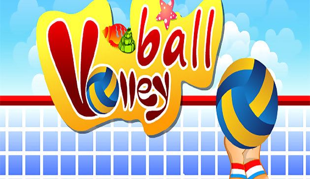 EG Volleyball Ball