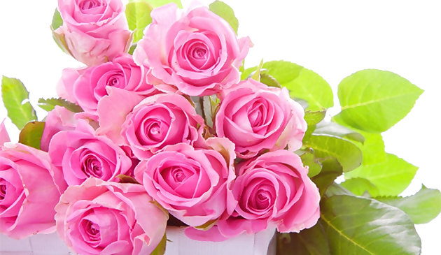 Розовые розы головоломка