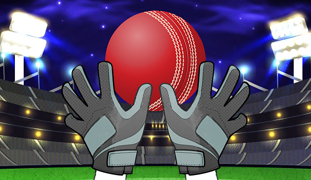 Поймайте мячи