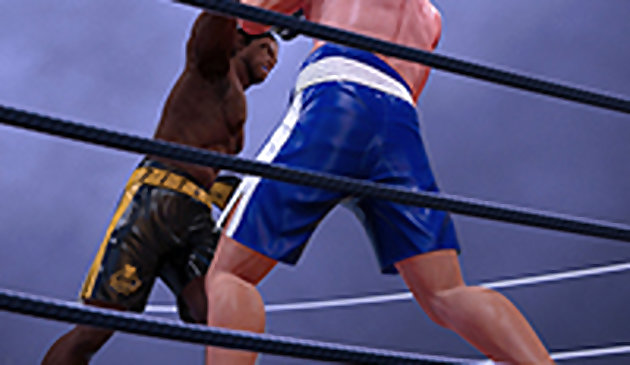 Последняя боксерская игра