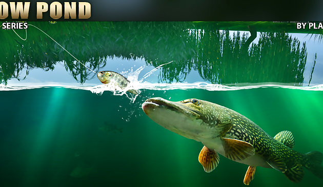 Рыбалка в Ивовом пруду