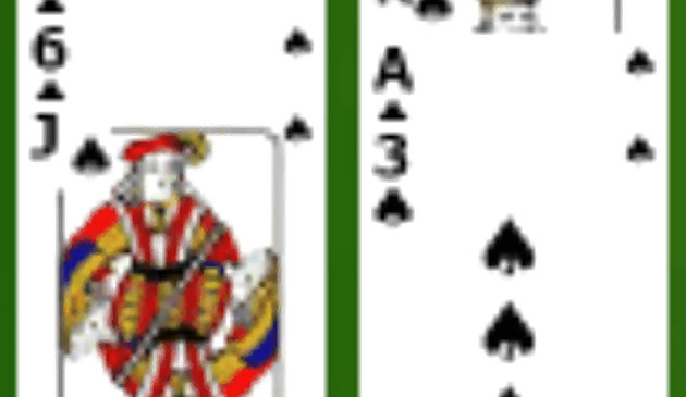 Паук Солитер