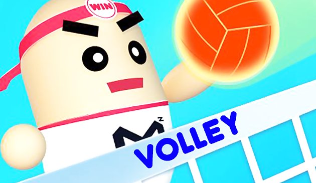 Волейбол бобов 3Д