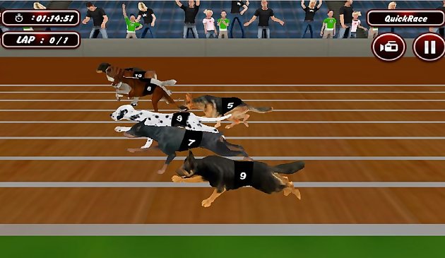 Gerçek Köpek Yarış Simülatörü Oyunu 2020