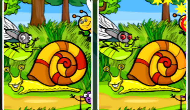 Насекомые: различия фото