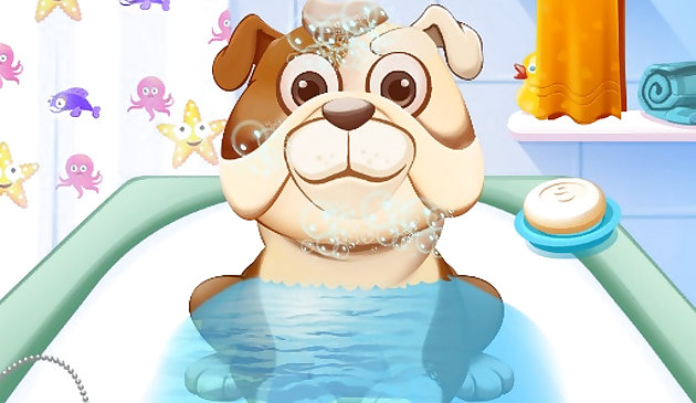 Дневные игры для животных