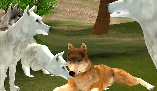 Атака голода диких волков