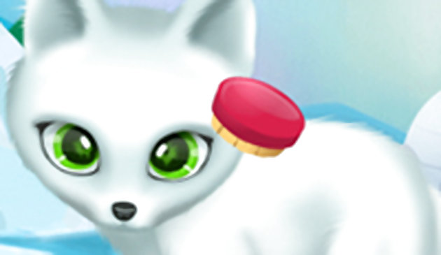 Лапки красоты: арктический выпуск