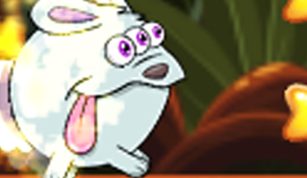 Приключение джунглей