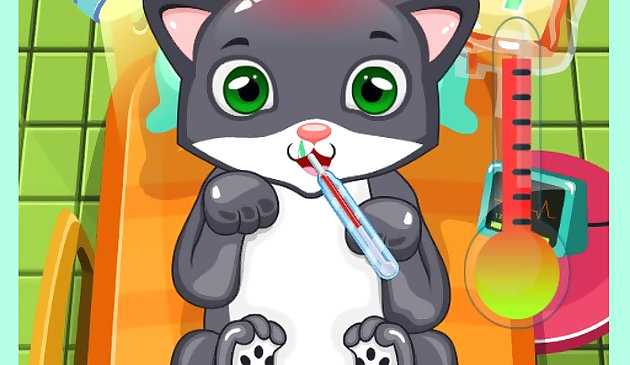 Кошачий доктор