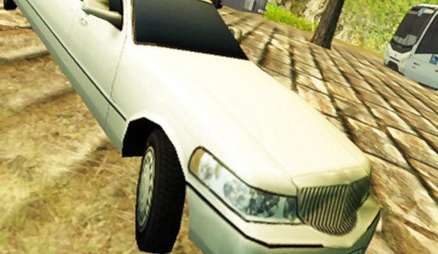 Водитель лимузина