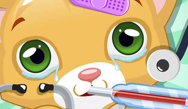 Доктор маленького кота