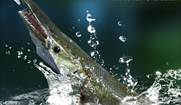 Летнее озеро