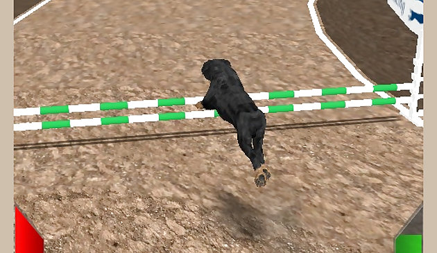 Simulateur de course de chiens