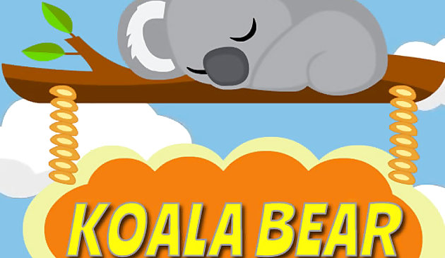 Gấu Koala