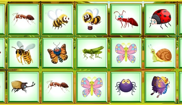 Найдите насекомое