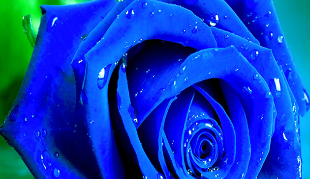 Blue Roses Puzzle