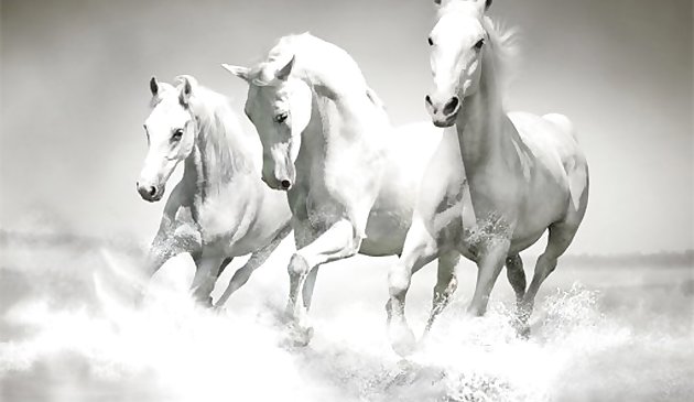 Лошади пазл