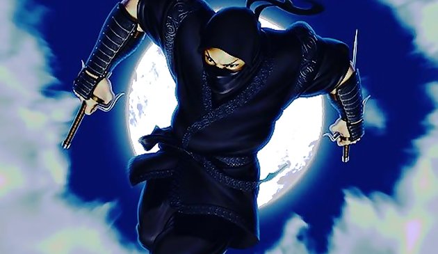 Defensor Ninja
