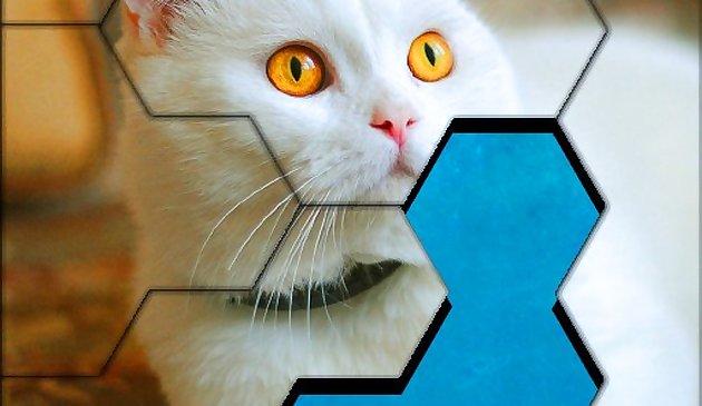 Гекса пазл блоков