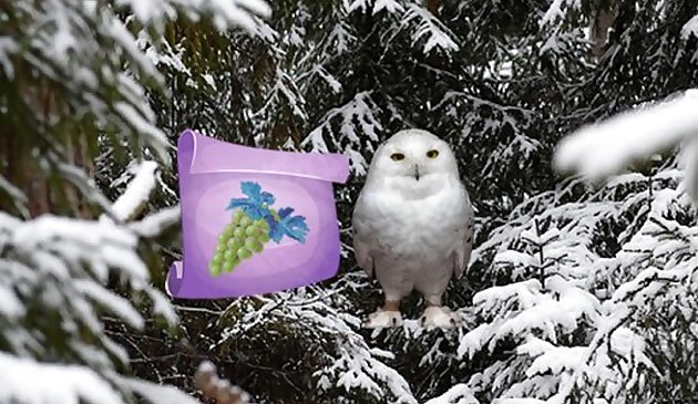 Зимняя страна чудес: лесное приключение