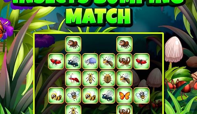 Стычка насекомых