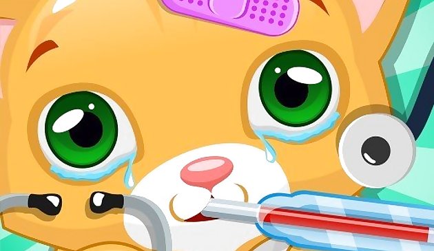 Игра маленького котика