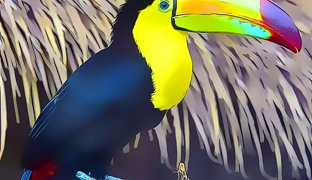 Toucan Kuş Yapboz