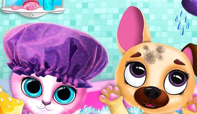 Милые друзья питомцы