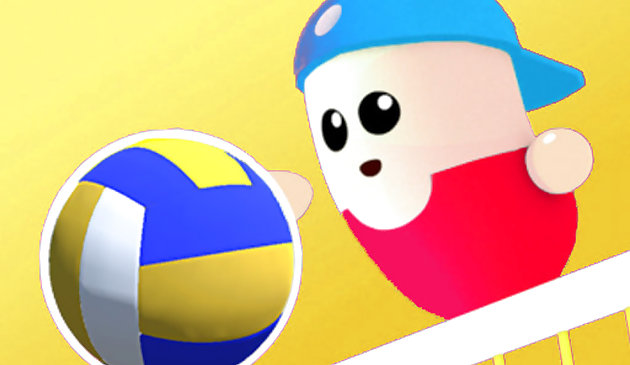 volleyball beans