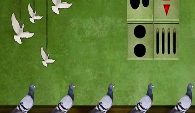 Pigeon Escape 2