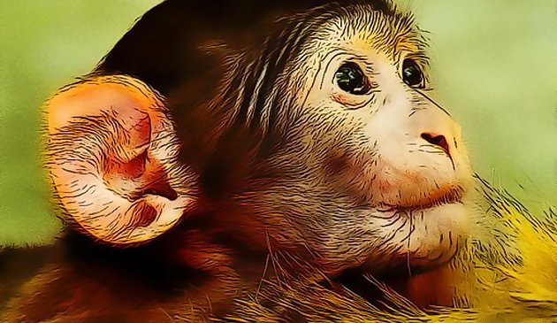 Забавные Малыши обезьянки