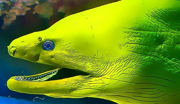 Подводный мир пазл